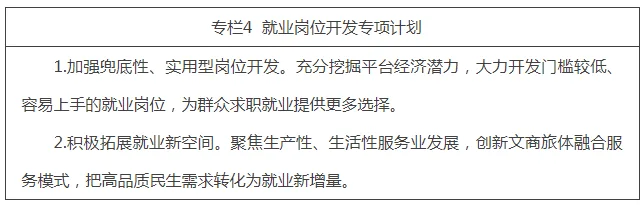 专栏4 就业岗位开发专项计划.png